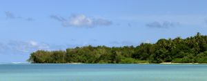 Jungle, Mangrove, Sand and Ocean