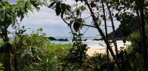 Empty Wild Beach