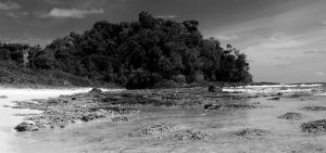 B&W Low Tide