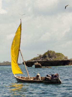 Local sail boat