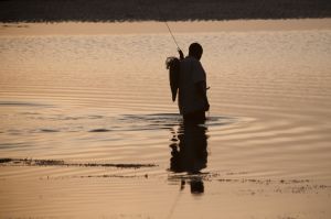 Local fisherman 