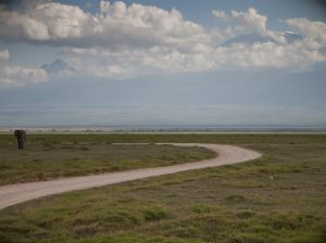 Amboseli National Park