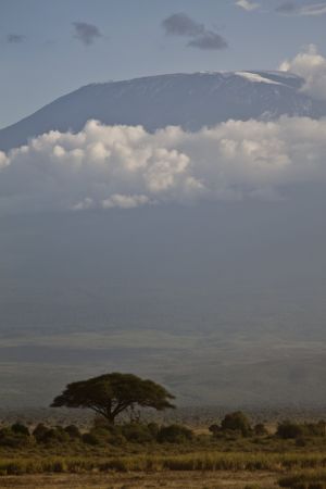 Amboseli landscape