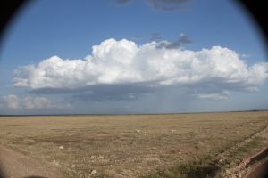 Amboseli savannah