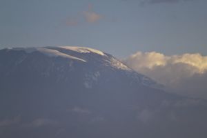 Snowy Kilimanjaro