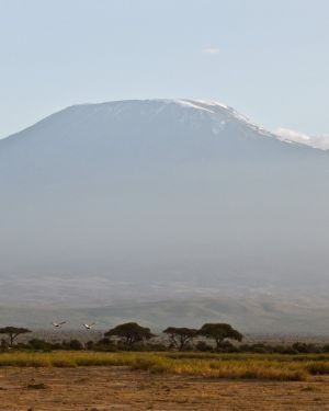 The highest mountain in Africa