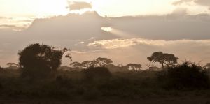 Sunrise at Amboseli