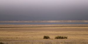 Amboseli lake, a mirage....