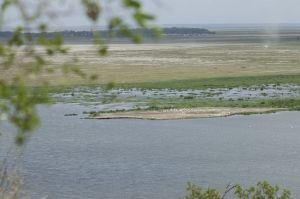 Amboseli variegated ecosystem